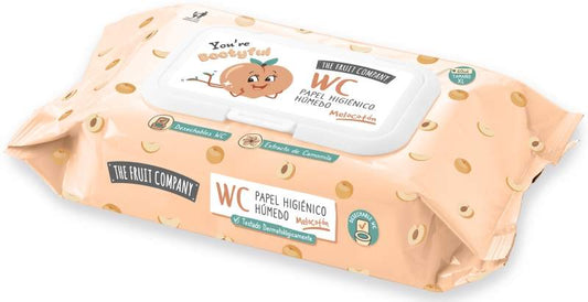 PAPEL T.F.CO HUMEDO XL 60U MELOCOT