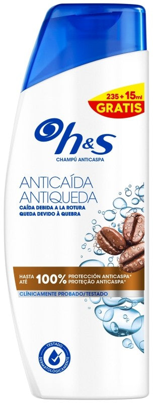 CHP HS 235+15 PREVENCION CAIDA
