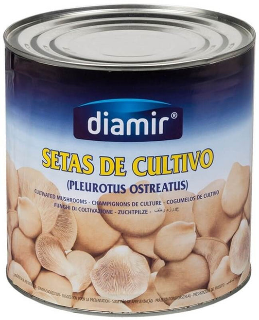 Diamir Setas de Cultivo 3 Kg