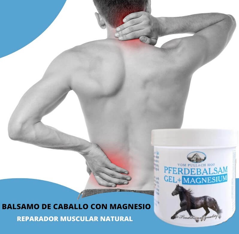 Vom Pullach Hof Pferdebalsam Bálsamo de Caballo Gel + Magnesium 250 ml