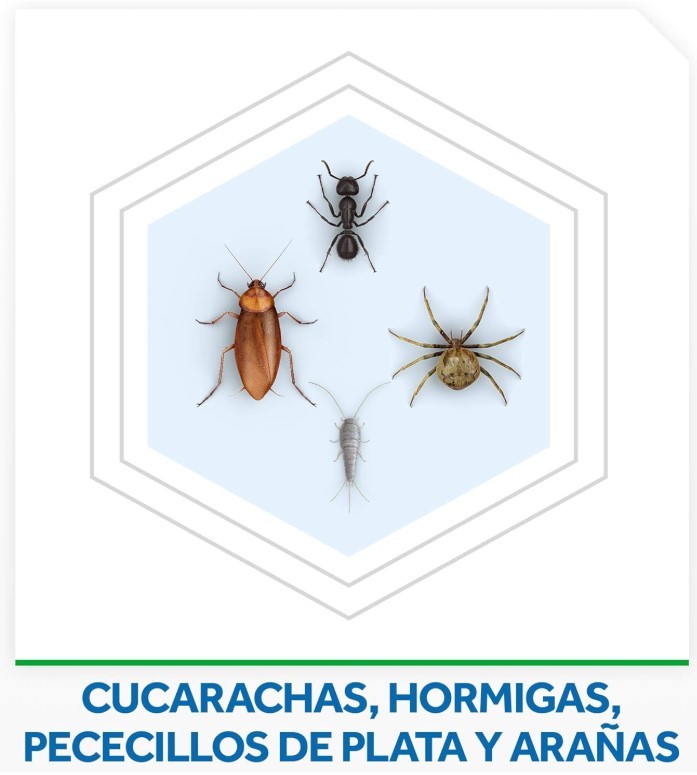 Baygon Spray Fórmula Plus Cucarachas y Hormigas 400 ml - Protección Total con Acción Fulminante