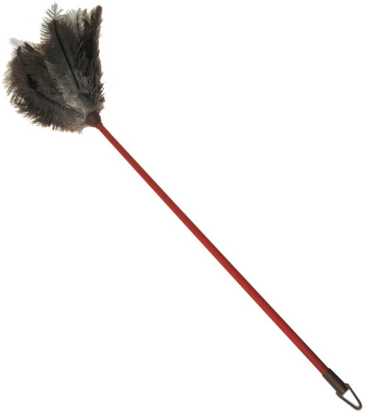 Aljariz Plumero Avestruz M-P RF350