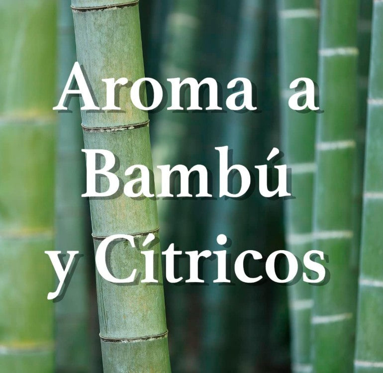 Orion Pinzas Antipolillas y Antiácaros Bambú y Cítricos 2U – Protección Fresca y Duradera para Tus Ropas y Textiles