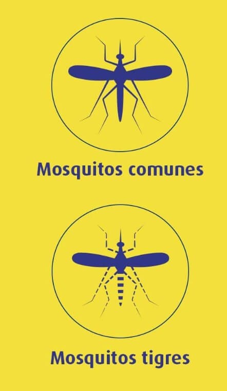 Bloom Recambio Eléctrico Mosquitos Común y Tigre Pack de 4 – Protección Continua Contra Mosquitos Toda la Temporada