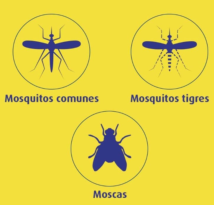 Bloom Max Antimosquitos y Moscas Pack 2 Aparatos + 4 Recambios – 180 Noches de Protección Sin Perfume