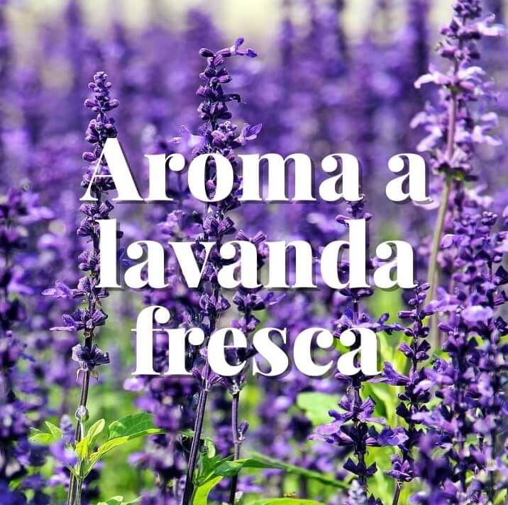 Orion Bolsas Antipolillas Lavanda Fresca 20 uds