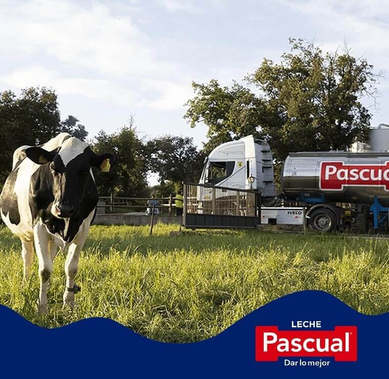 Pascual Leche Entera Clásica Pack 6 x 1L - Calidad y Sabor para tu Hogar y Negocio