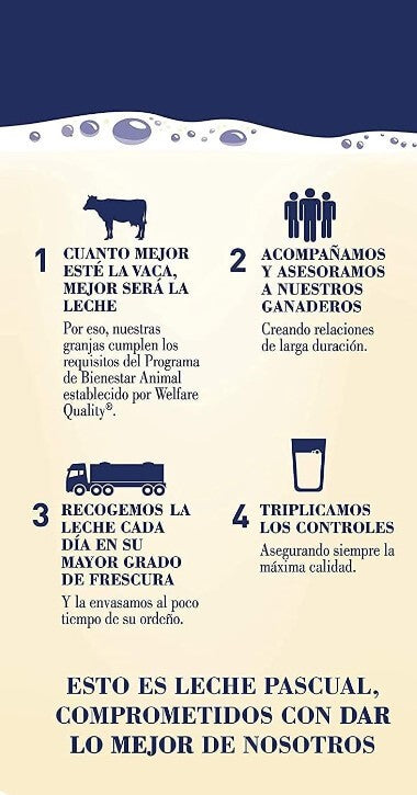 Pascual Leche Semidesnatada Pack 6 x 1L