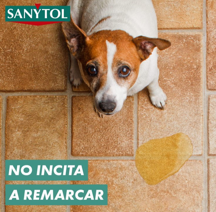 Sanytol Limpiador Desinfectante Suelos y Superficies 1200 ml